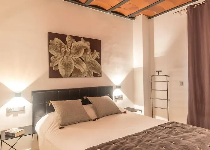 Daire Aspasios Ramblas Barselona